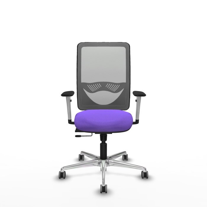 PIQUERAS Y CRESPO Silla de oficina Zulema con mecanismo Sincro/Traslack, Tela Lila y Malla Gris PIQUERAS Y CRESPO Silla de oficina Zulema con mecanismo Sincro/Traslack, Tela Lila y Malla Gris
