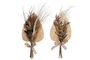 DKD Home Decor Ramo de Flores Secas Surtido 20x10x50 cm