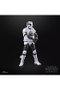 Hasbro Star Wars The Black Series Scout Trooper May The 4th Be With You 15 cm
