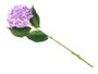Ibergarden Rama Flores Lila 62 cm Plástico 19x15 cm (Set de 12)