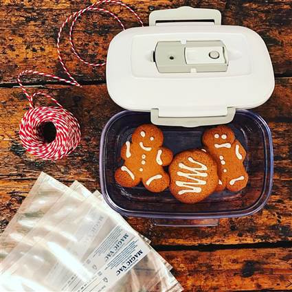 Magic Vac ACO1093 Recipiente Rectangular 1L para Envasado al Vacío Magic Vac ACO1093 Recipiente Rectangular 1L para Envasado al Vacío