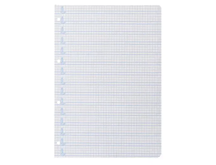 Liderpapel Recambio A4 Cuadriculado Pautado 100 Hojas con Margen y 4 Taladros