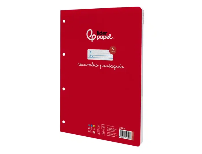 Liderpapel Recambio A4 Cuadriculado Pautado 100 Hojas con Margen y 4 Taladros