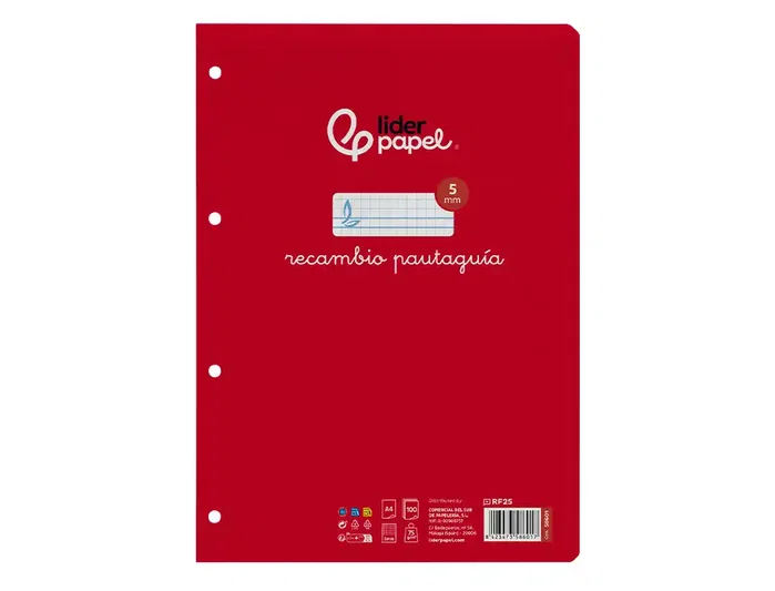 Liderpapel Recambio A4 Cuadriculado Pautado 100 Hojas con Margen y 4 Taladros
