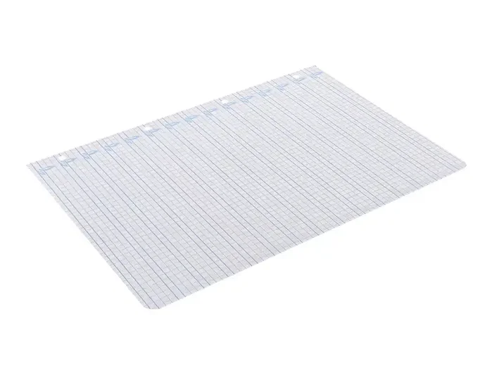 Liderpapel Recambio A4 Cuadriculado Pautado 100 Hojas con Margen y 4 Taladros