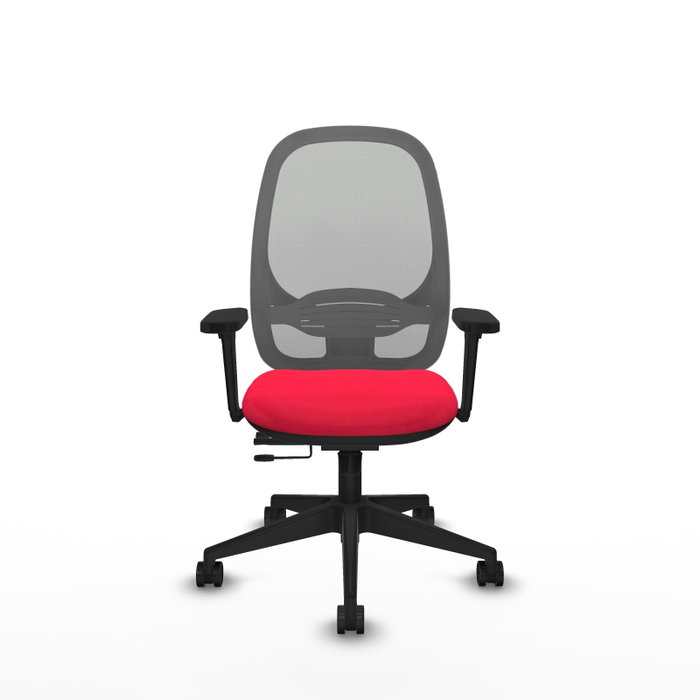 PIQUERAS Y CRESPO Silla de oficina Cilanco con mecanismo Sincro/Traslack, Rojo y Gris PIQUERAS Y CRESPO Silla de oficina Cilanco con mecanismo Sincro/Traslack, Rojo y Gris