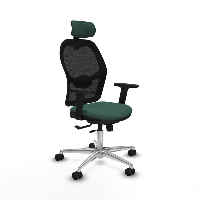 PIQUERAS Y CRESPO Silla de oficina Jorquera con mecanismo Sincro/Traslack Verde botella PIQUERAS Y CRESPO Silla de oficina Jorquera con mecanismo Sincro/Traslack Verde botella