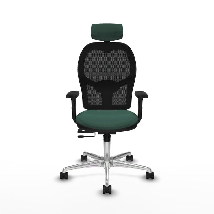 PIQUERAS Y CRESPO Silla de oficina Jorquera con mecanismo Sincro/Traslack Verde botella PIQUERAS Y CRESPO Silla de oficina Jorquera con mecanismo Sincro/Traslack Verde botella