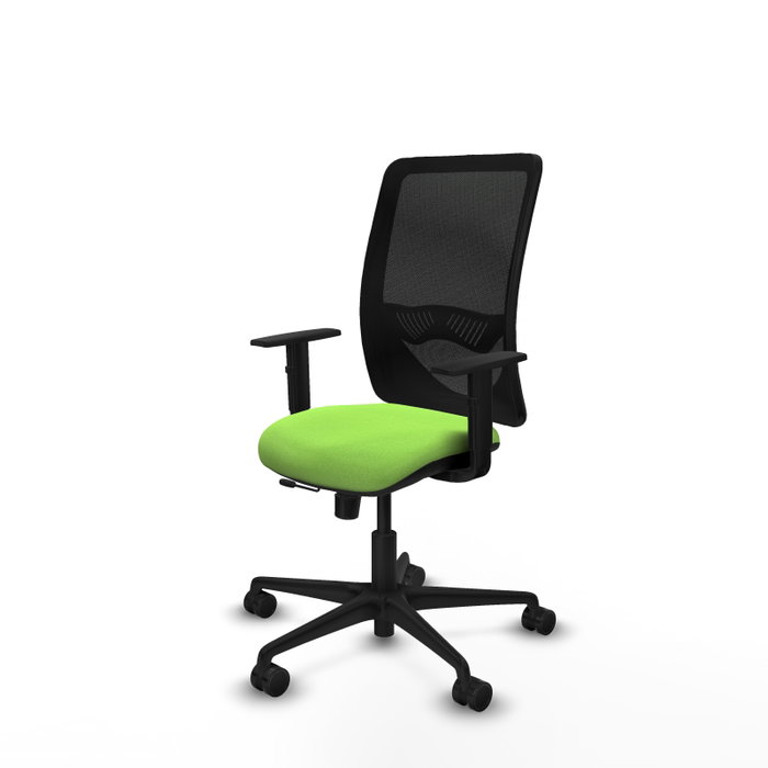 PIQUERAS Y CRESPO Silla de oficina Zulema con mecanismo Sincro/Traslack, Pistacho y Negro PIQUERAS Y CRESPO Silla de oficina Zulema con mecanismo Sincro/Traslack, Pistacho y Negro