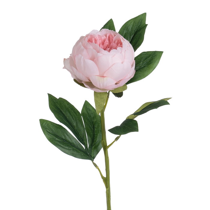 Flor Peonía Rosa Poliéster-Polietileno 66 cm (Set de 24)