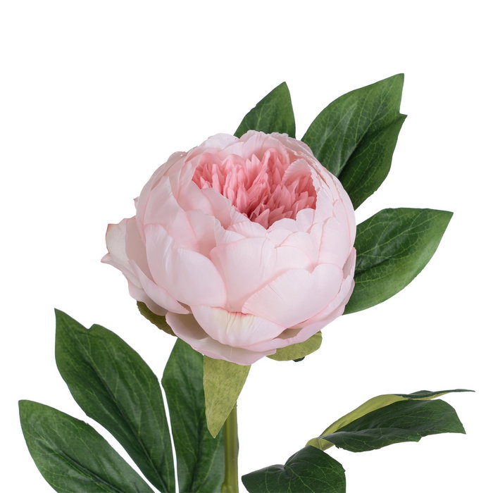 Flor Peonía Rosa Poliéster-Polietileno 66 cm (Set de 24)
