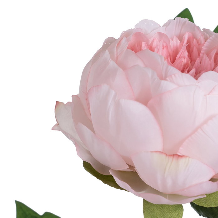 Flor Peonía Rosa Poliéster-Polietileno 66 cm (Set de 24)