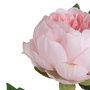 Flor Peonía Rosa Poliéster-Polietileno 66 cm (Set de 24)