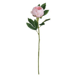 Flor Peonía Rosa Poliéster-Polietileno 66 cm (Set de 24)