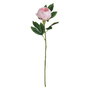 Flor Peonía Rosa Poliéster-Polietileno 66 cm (Set de 24)