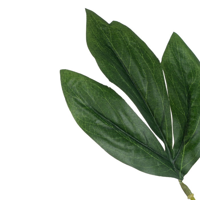 Flor Peonía Rosa Poliéster-Polietileno 66 cm (Set de 24)