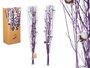 Giftdecor Ramillete Algodon Morado Lavanda Verde 10 cm x 100 cm x 18 cm Materia Vegetal Seca (Set de 18)