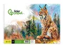 Liderpapel Bloc de dibujo artístico Natura espiral 230x325mm 20 hojas