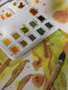 Van Gogh Estuche de acuarelas de tonos naturales con 12 colores en medias pastillas