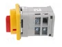 SPAMEL Interruptor de leva 63A 0-1 IP65
