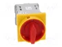 SPAMEL Interruptor de leva 63A 0-1 IP65