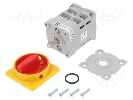 SPAMEL Interruptor de leva 63A 0-1 IP65