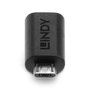 LINDY Adaptador USB 2.0 Tipo C Hembra a Micro-B Macho 41903 Negro