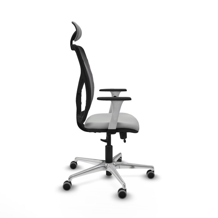 PIQUERAS Y CRESPO Silla de oficina Motilla con mecanismo Sincro/Traslack, Gris claro y Negro PIQUERAS Y CRESPO Silla de oficina Motilla con mecanismo Sincro/Traslack, Gris claro y Negro