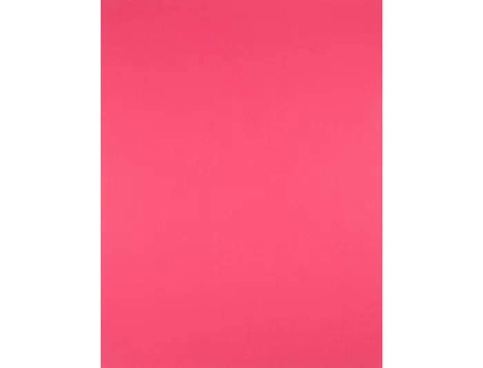 Liderpapel Cartulina Fucsia 50x65 cm 180g/m2 Paquete de 25 Hojas para Dibujo y Manualidades