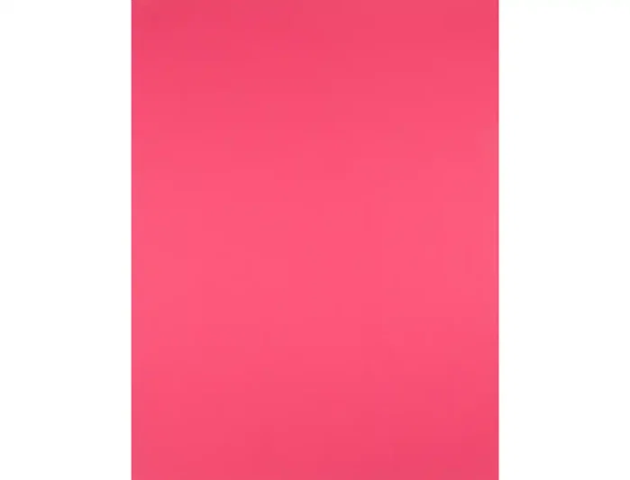 Liderpapel Cartulina Fucsia 50x65 cm 180g/m2 Paquete de 25 Hojas Liderpapel Cartulina Fucsia 50x65 cm 180g/m2 Paquete de 25 Hojas