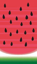 Toalla de Playa Secaneta 90 x 165 cm