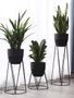 DKD Home Decor Macetero Urban Negro Metal 38 x 80 x 38 cm Set de 3