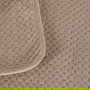Colcha Beige Terciopelo/Microfibra 240 X 260 cm