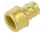 LAPP Conector final recto