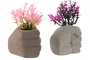 DKD Home Decor Planta Cemento PE Multicolor Surtida