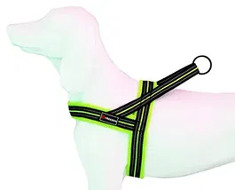 Freedog Arnés Soft-Sport Am Neon T-S 20 mm x 54-64 cm