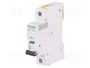 SCHNEIDER ELECTRIC ACTI9 iC60N 32A 1P Característica C