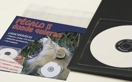 Funda Cd/Dvd Iberplas Pvc 130X130 Adhesiva (140Μ) Paquete De 100