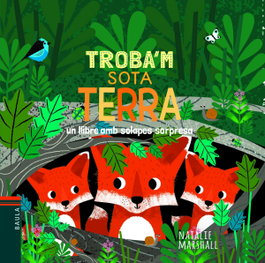 BAULA SOTA TERRA
