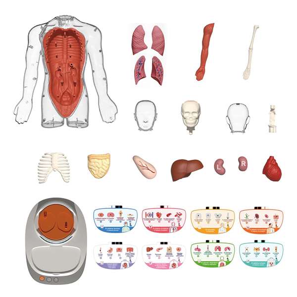 Canal Toys Juego Educativo Cuerpo Humano Vozpedia Interactivo So Science con Piezas Desmontables y Cuestionario para Niños +3 Años