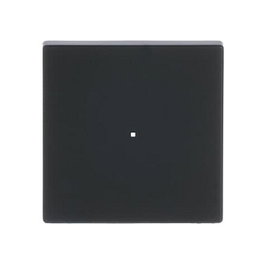 Busch-Jaeger BJ 6230-10 885 Placa Frontal Interruptor 1 tecla Negro Mate para Sistema free@home future linear