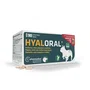 Pharmadiet Hyaloral Razas Pequeñas y Medianas 90 Comprimidos