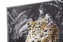 DKD Home Decor Cuadro Lienzo MDF 50x1,8x70 Leopardo Surtido de 4