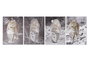 DKD Home Decor Cuadro Lienzo MDF 50x1,8x70 Leopardo Surtido de 4