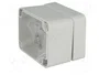 FIBOX EURONORD Carcasa Universal Gris ABS