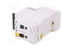 SCHNEIDER ELECTRIC iC60N 63A 2 Polos Curva C