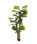 DKD Home Decor Planta Licuala Grandis Verde en Base de Cemento 60x60x180 cm