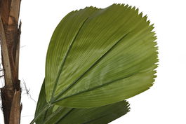 DKD Home Decor Planta Terraza Y Jardin Verde Marron 60 x 180 x 60 cm (2 Unidades)