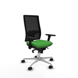 PIQUERAS Y CRESPO Silla de oficina Horna con mecanismo Sincro, Verde y Negro
