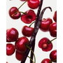 Nina Ricci Nina Rouge Crush Agua de perfume 80 ml